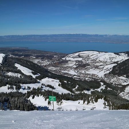 Appartement T2 A Bernex Avec Wifi, Vue Sur Montagne ภายนอก รูปภาพ
