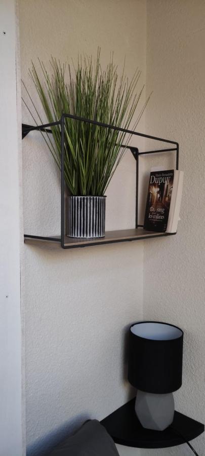 Appartement T2 A Bernex Avec Wifi, Vue Sur Montagne ภายนอก รูปภาพ